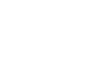 ExaGrid Dist White