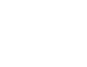 rubrik-1-1